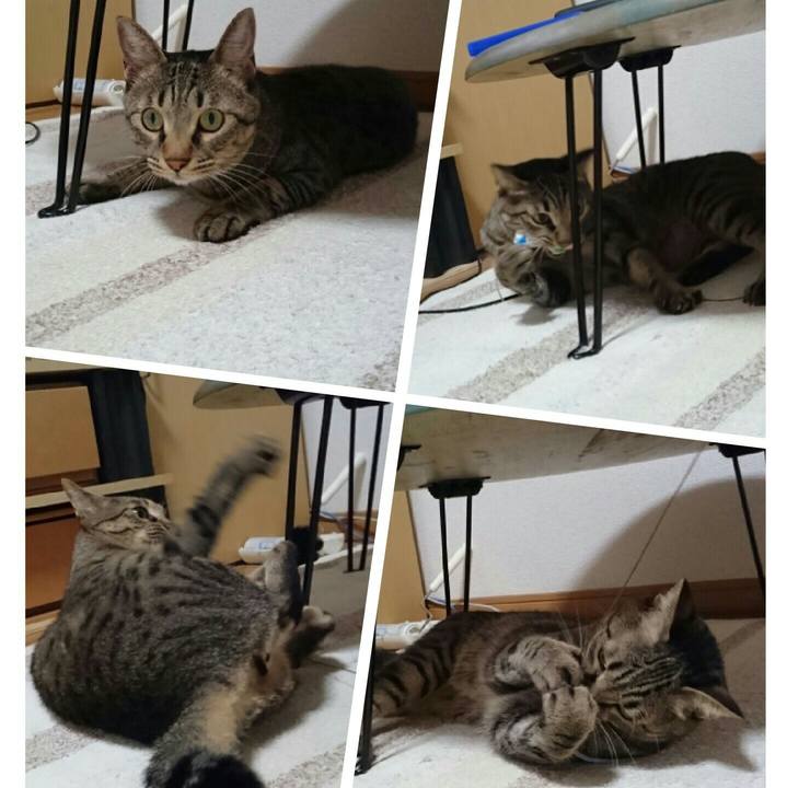 5f97e9c4 fe9e 4aaa 99ed 16f39882bab3