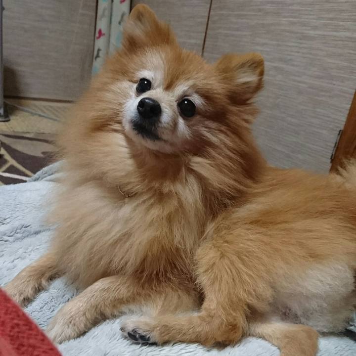 5f981093 7cd9 4388 b3e6 6d58cc2810a7