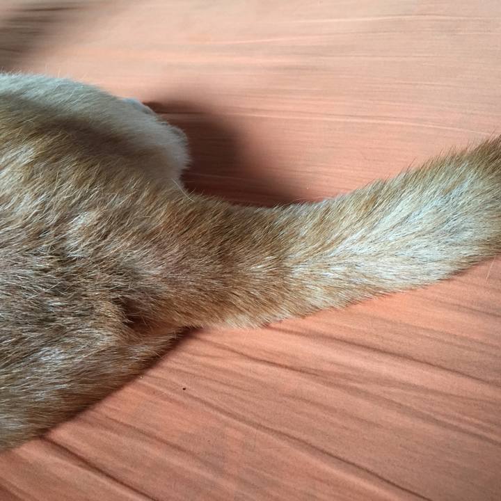 5f98c4de 3b1b 430c 8a24 d0adfc8bbe56