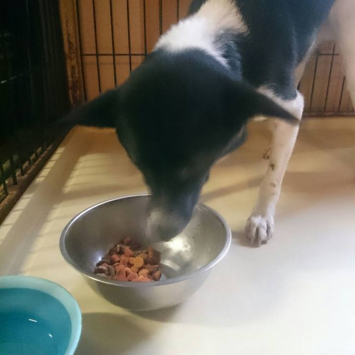 5f98ce02 ea68 4c53 be30 a6cbaf956351