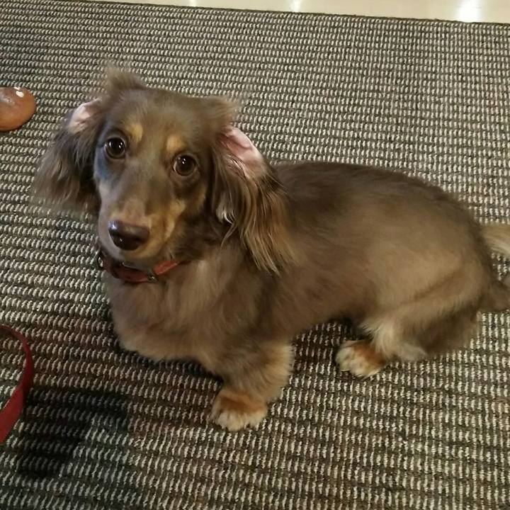 5f98e614 5e95 4203 b11b 03153bd605db