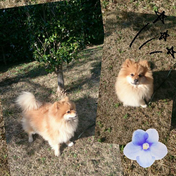 5f991de2 a46f 417b 97a1 219ea2bc4382