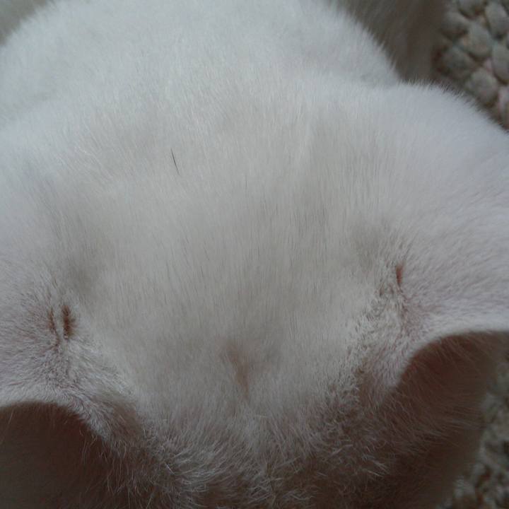 5f9938b7 caff 4a1c b044 6d97535a6e51