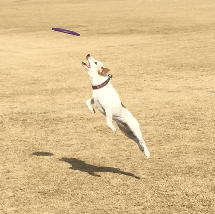 5f99911d ca05 429c 9e98 634536124563