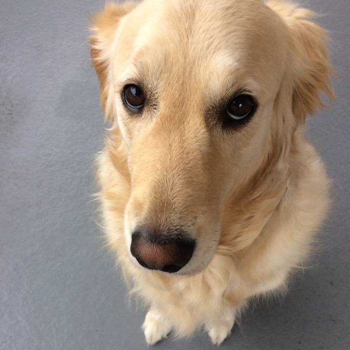 5f999c09 86bd 4c68 8314 cdb1f2ce529e