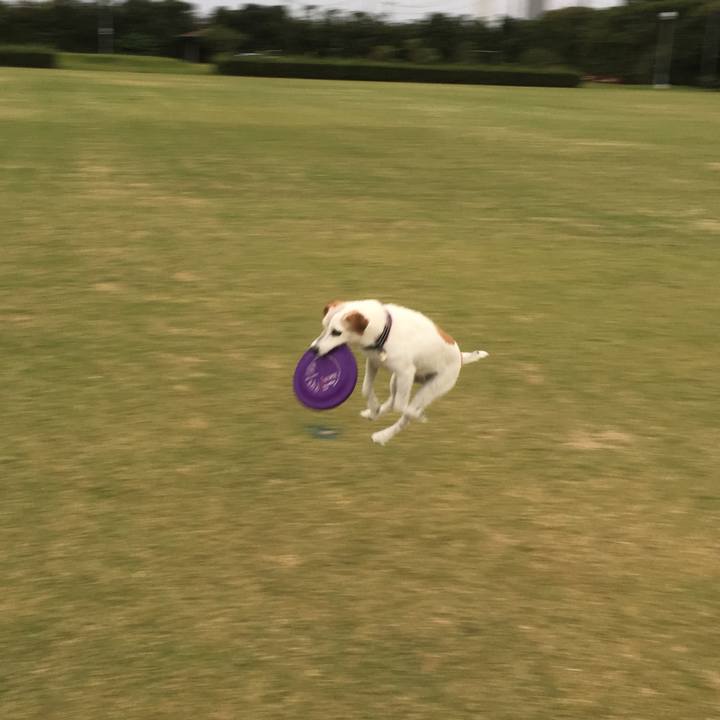 5f99a3ef c448 4d37 a7fe 9527b61bd18d