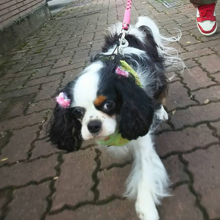 5f99f6e8 7b73 43b0 ac1a 5a56e44abdf0