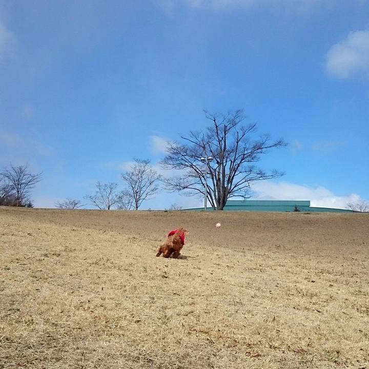 5f9a0ddf 976e 479f 83ea 845045fd00b9