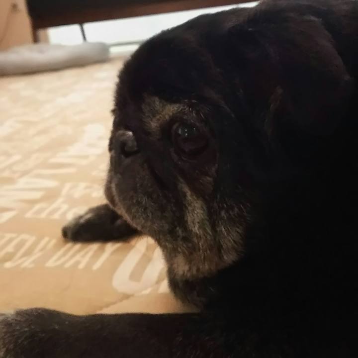 5f9a0fdf f7b9 4c64 9f5f 2181ac65950e