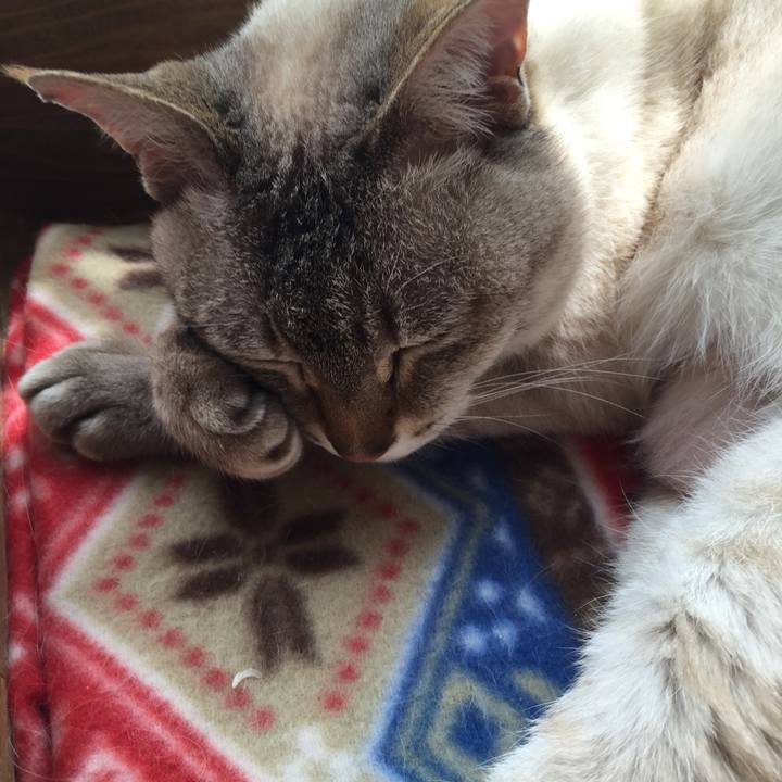 5f9a2fed 7855 44bf 8594 c01cb20c4ef3