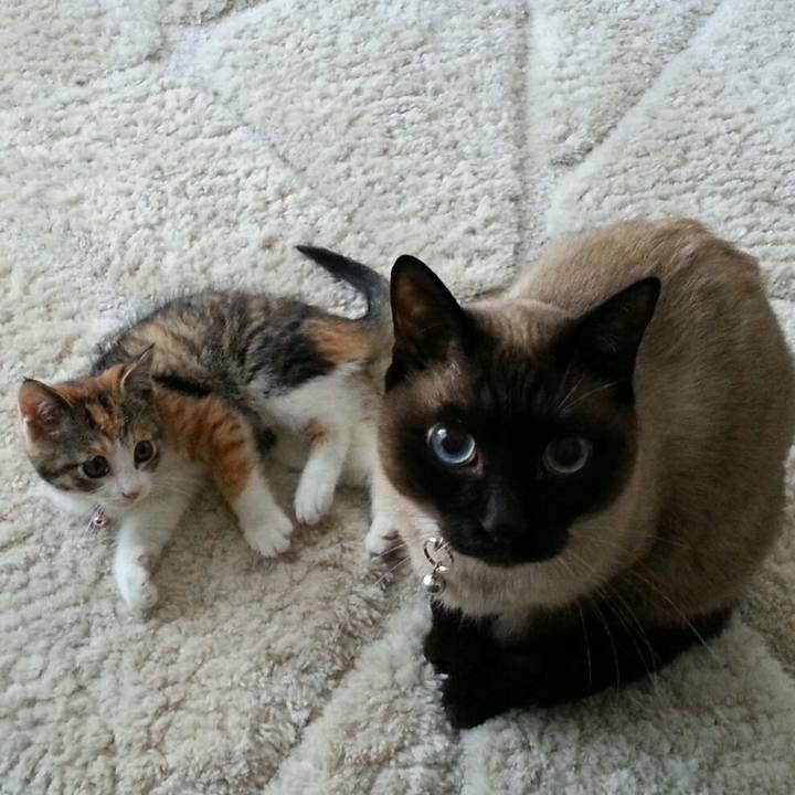 5f9b51d3 474b 4175 9d81 4d801de4b0ca