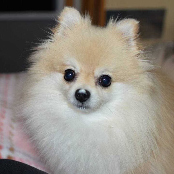 5f9bd5ff fe48 4362 a4e9 ad12c1e416ef