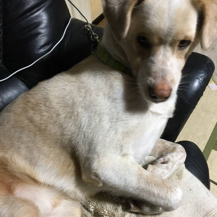 5f9c6041 e985 41a2 b817 43bea660d622