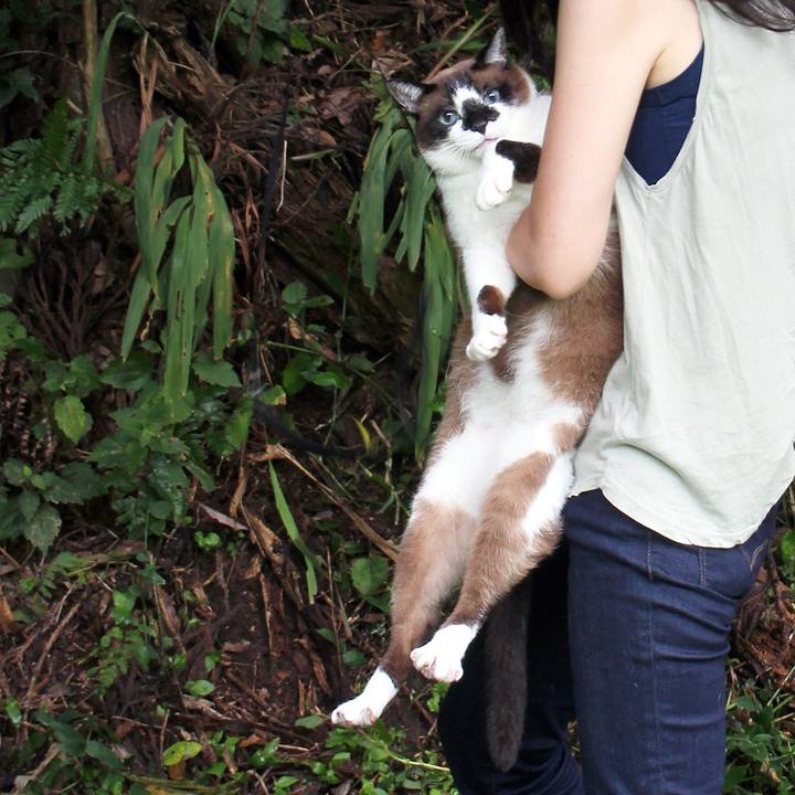 5f9ca550 82c0 4ce9 b80f 977d879c80eb