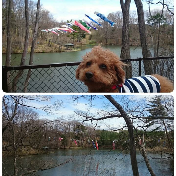 5f9d0138 fc26 4a2d 9417 16294b47ff45