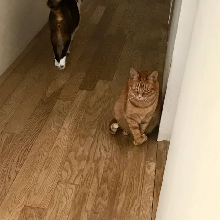 5f9d99de 1235 4057 b9a1 6ca5d43c12b3