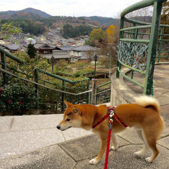 5f9e028f 9b16 4196 80ae 0eb9ee7f09db