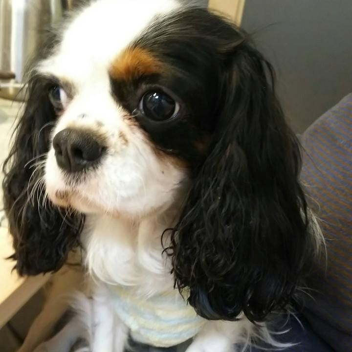 5f9e508f 9e05 4d51 93ac 35cab8be251e