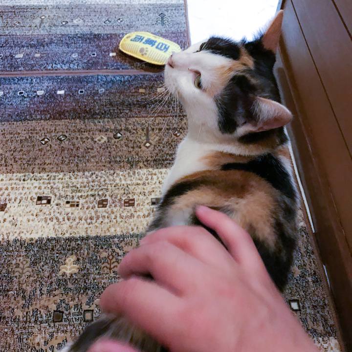 5f9eb1fa 0109 468e 8e18 7fc0f9bf3b30