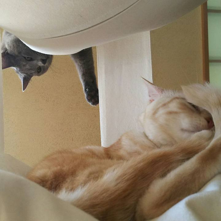 5f9eb42b 2e4b 4084 947c 64ed6fe4bfcb