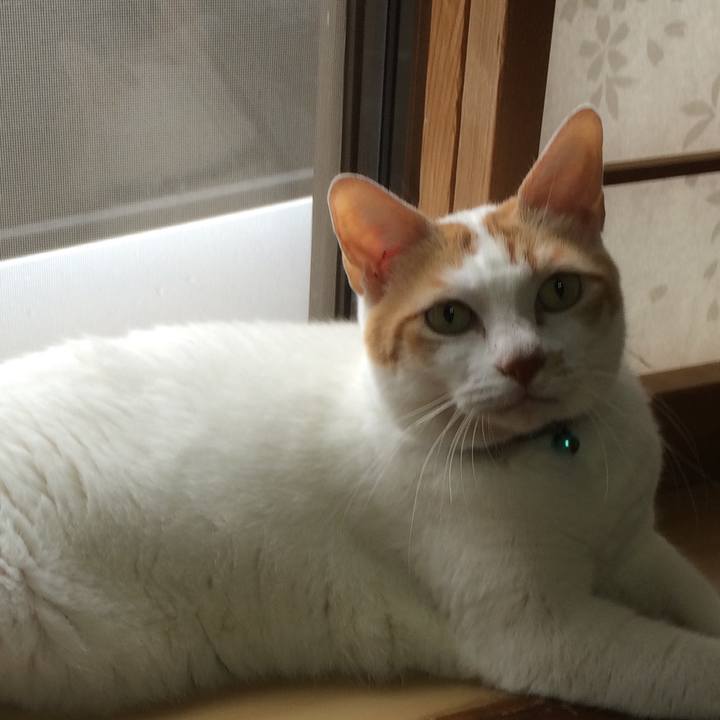 5f9ebd66 1f7e 455d 81fc 5257f0a40bc9