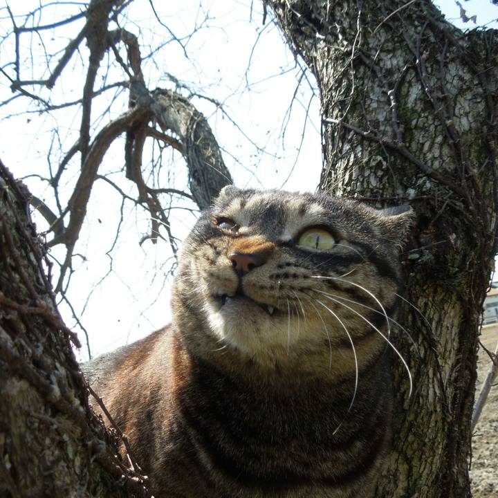 5f9f8b94 b849 43b8 9aa6 e301e72aae4c