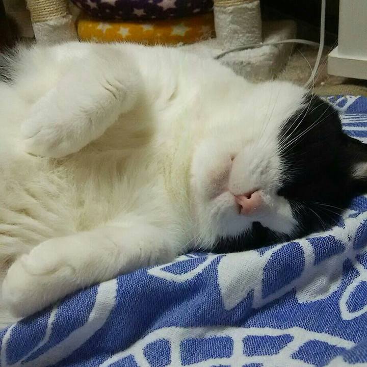 5f9fb789 7a5b 417e b4d2 1bf79251dcc8