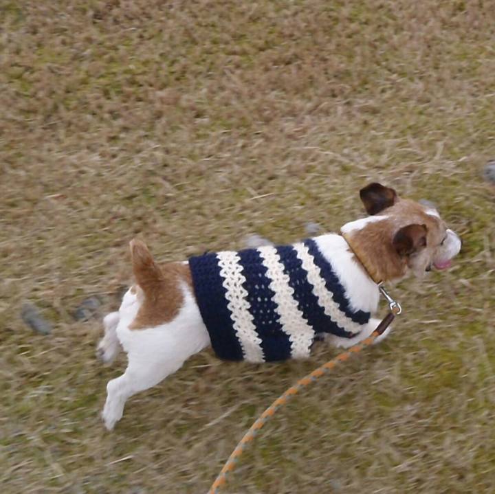 5fa00aa8 d1e3 4fac 931d 645808b8d929