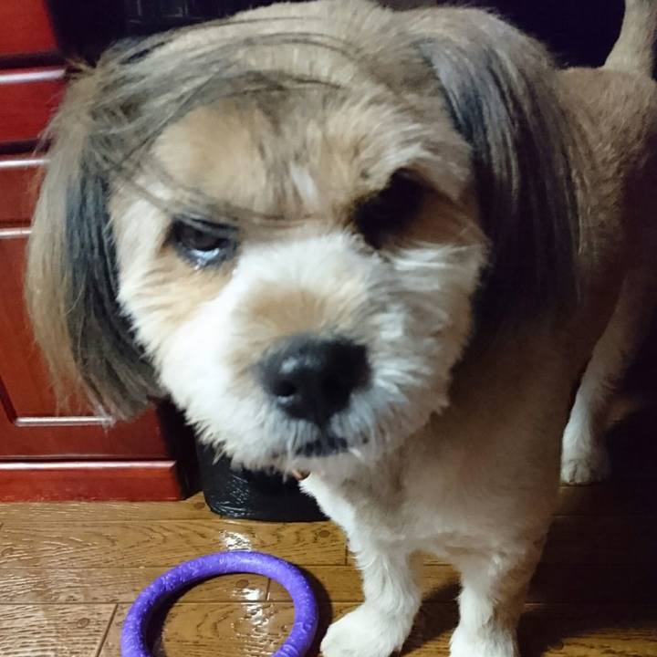 5fa0434e e21e 47e9 8b3e 8ed66853bd95