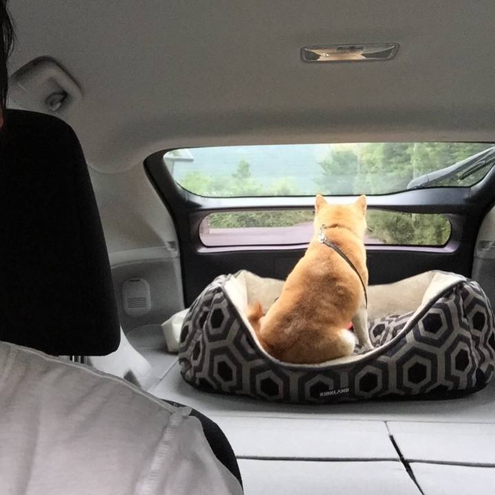 5fa05322 ee0c 4c09 90a5 7797e2a9f27f