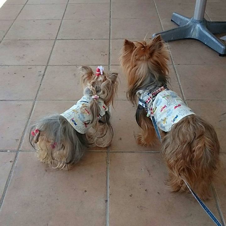 5fa067f6 188d 4573 acd5 b7e8a863aec5