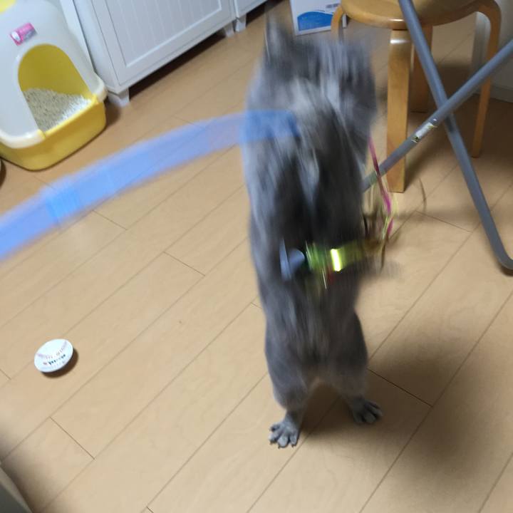 5fa199cd 7390 4c89 ab43 a8906c2a0d96