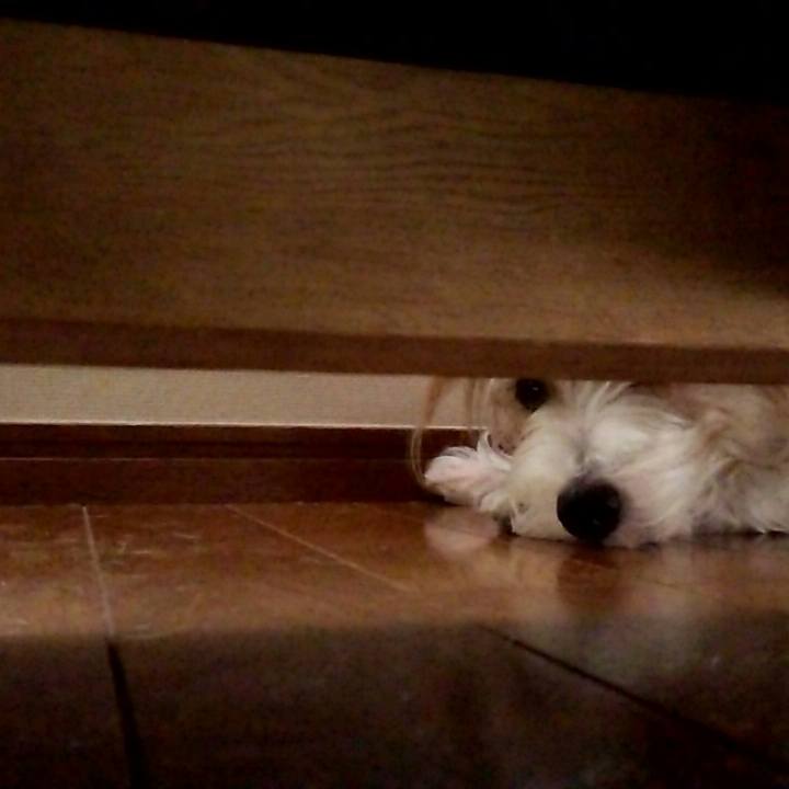 5fa19fe2 e45b 4a69 abc9 cb819082dfd3