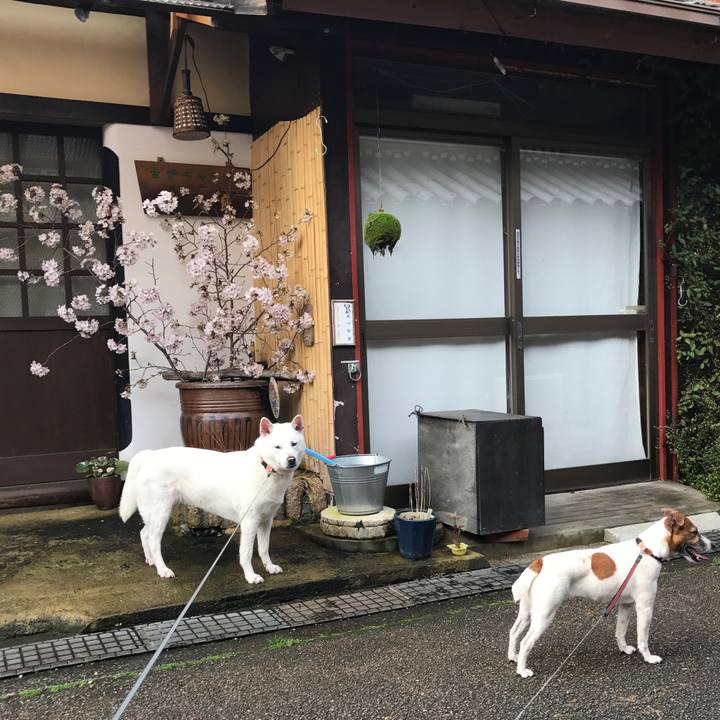 5fa1a2fe 3627 4e3d a8d2 3abbccfa8c0d