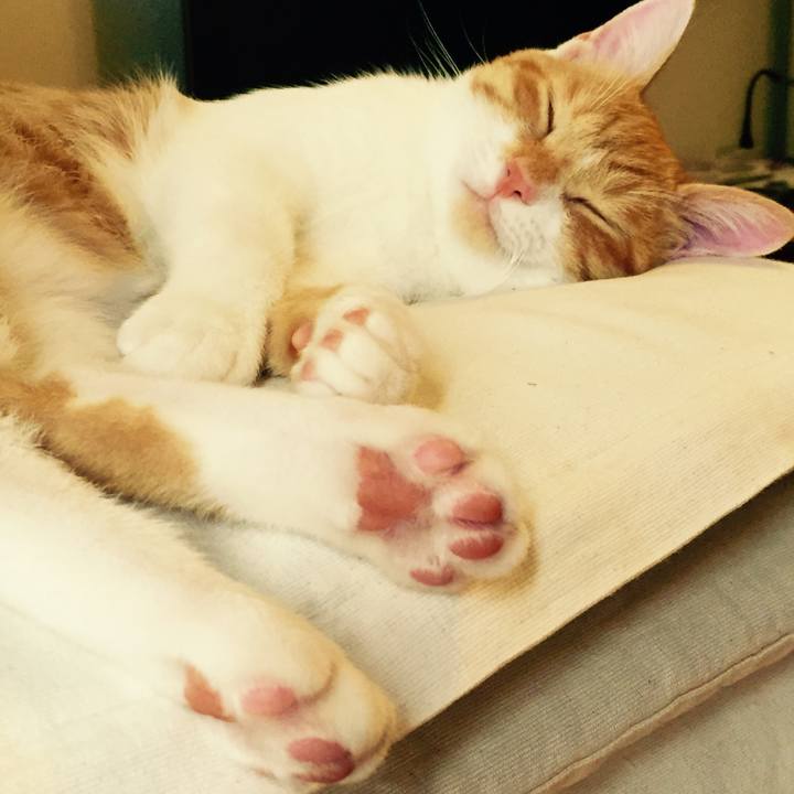 5fa1a31d bcdc 4a3a bbf5 72f584667346