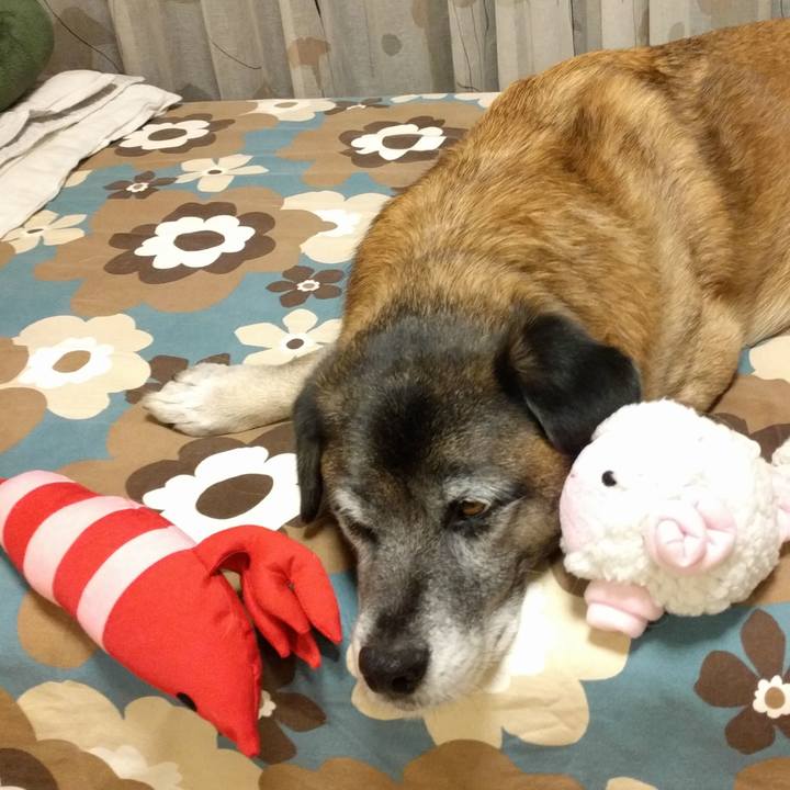 5fa24950 8a99 4a8a 8ac8 fddd08e7e070