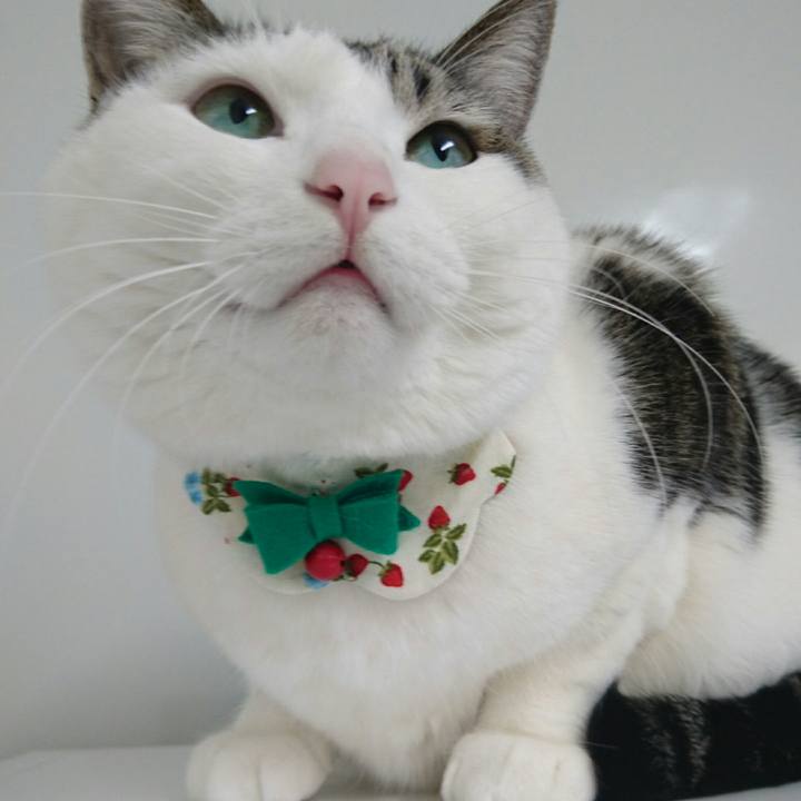 5fa26594 2de6 480b 865a 4ff0d33397fe