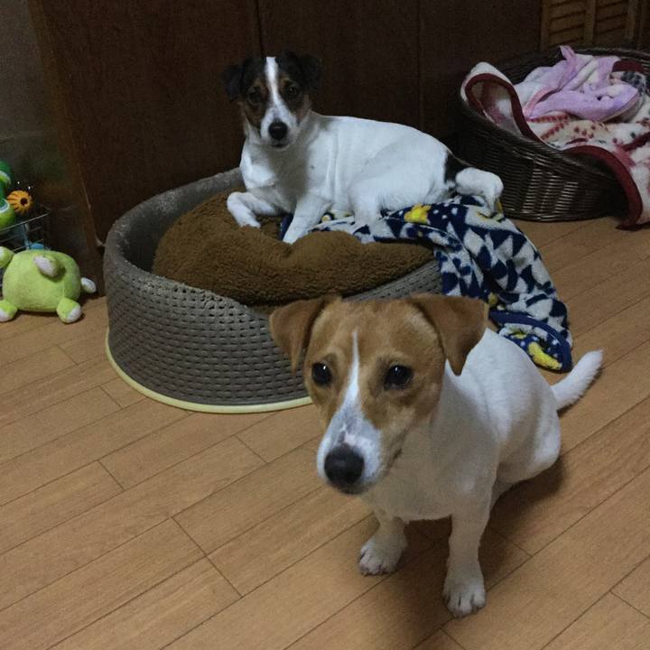 5fa26f2a f399 4eee be92 b5cb1f74965e