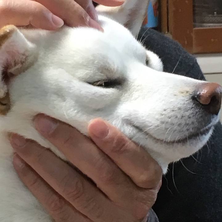 5fa2a391 5948 4c8f 9ab7 d6838b46fb0e