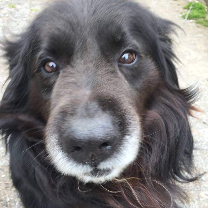 5fa2ae6a 33e6 40a9 af47 9d3d65aae49d