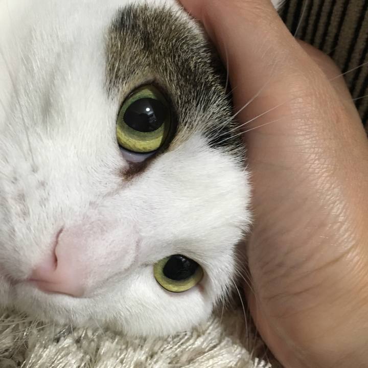 5fa3282e 0ef2 452b 8320 03430d8bf97c