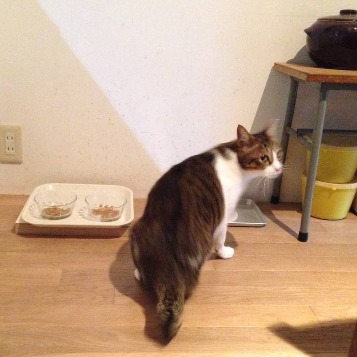 5fa405d8 6d7e 4c15 a413 ea4b6613d5d2