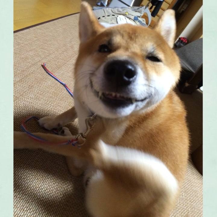 5fa440c2 3c21 4605 bd3b c595f47ed693