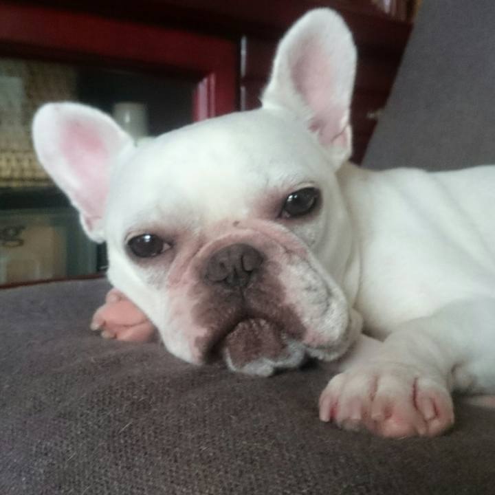 5fa443fb 1dc6 452e a69a c9e7bd050188