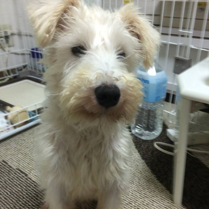 5fa47991 ac8c 4cf0 a411 dbc46ed725ee