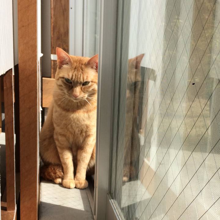 5fa53750 28dd 4a67 ae24 b86984654286