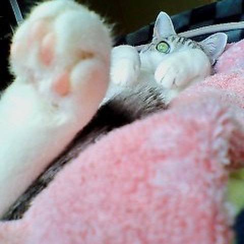 5fa5717d 201b 4346 b8fe bb77d4091bf5