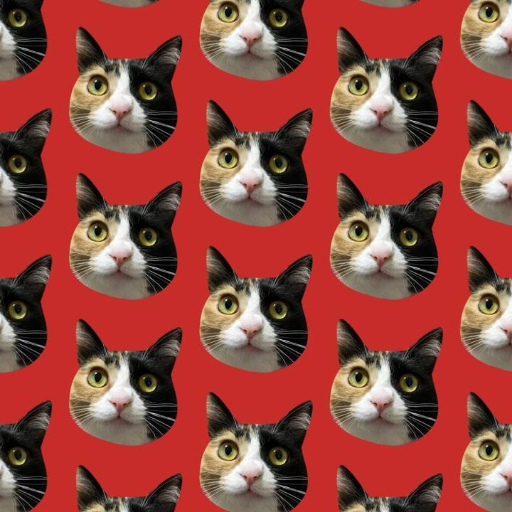 5fa5a07f d4a6 4ee1 afb8 83ed6ae8b5a2