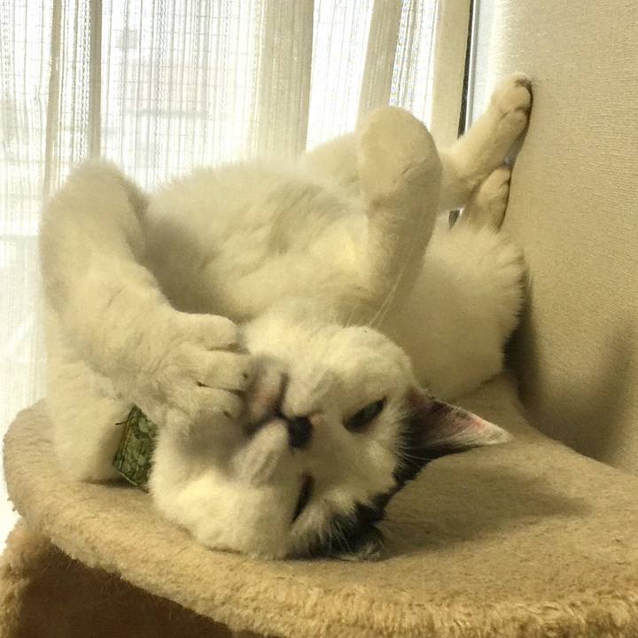 5fa5b1ca 9c8a 4b50 877d e1281188a3c2