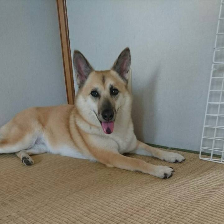 5fa5fbe8 0b81 4a51 9098 7d0ac0fef37b